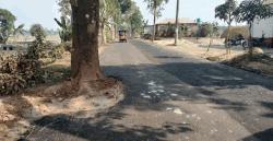 লালমনিরহাটের পাটগ্রামে রাস্তার মাঝে গাছ রেখেই  কাজ সম্পন্ন। দূর্ঘটনার আশঙ্কা