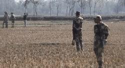 দহগ্রাম আঙ্গরপোতা সীমান্তে বিজিবির হাতে বিএসএফ জোয়ান আটক!