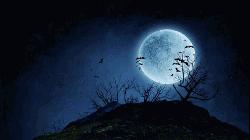 আজ বছরের দীর্ঘতম রাত: প্রকৃতির নীরব বার্তা আর শীতের গভীরতা