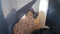 লক্ষ্মীপুর সদর কেন্দ্রে গোপন কক্ষে তিন মহিলা ভোটার