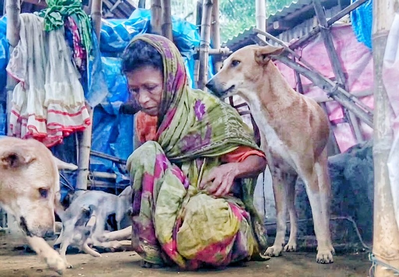 ভিক্ষা করে কুকুর-বিড়ালকে খাওয়ান জলঢাকার রোকেয়া